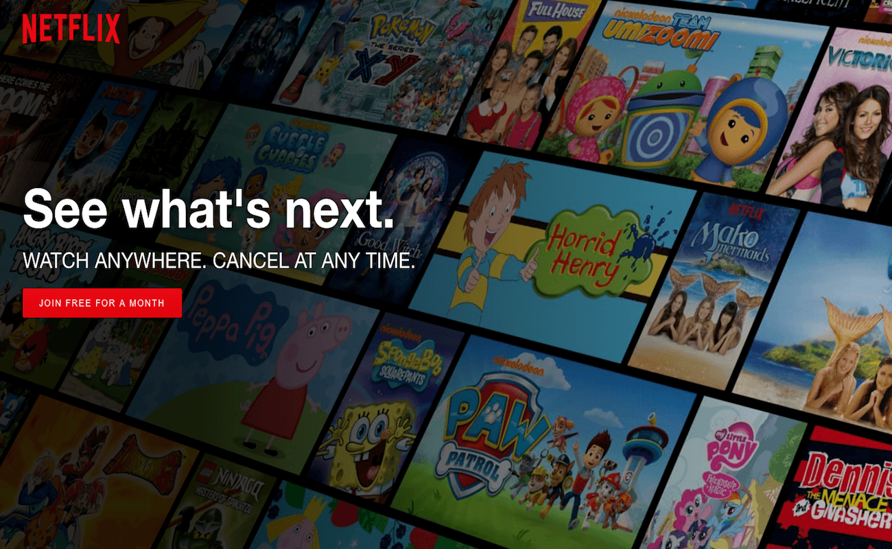 NetFlix Website After