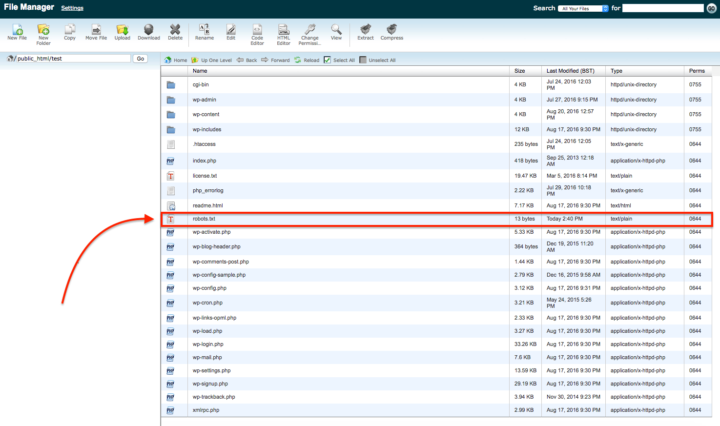 Installing Robots.txt with CPanel Step 2