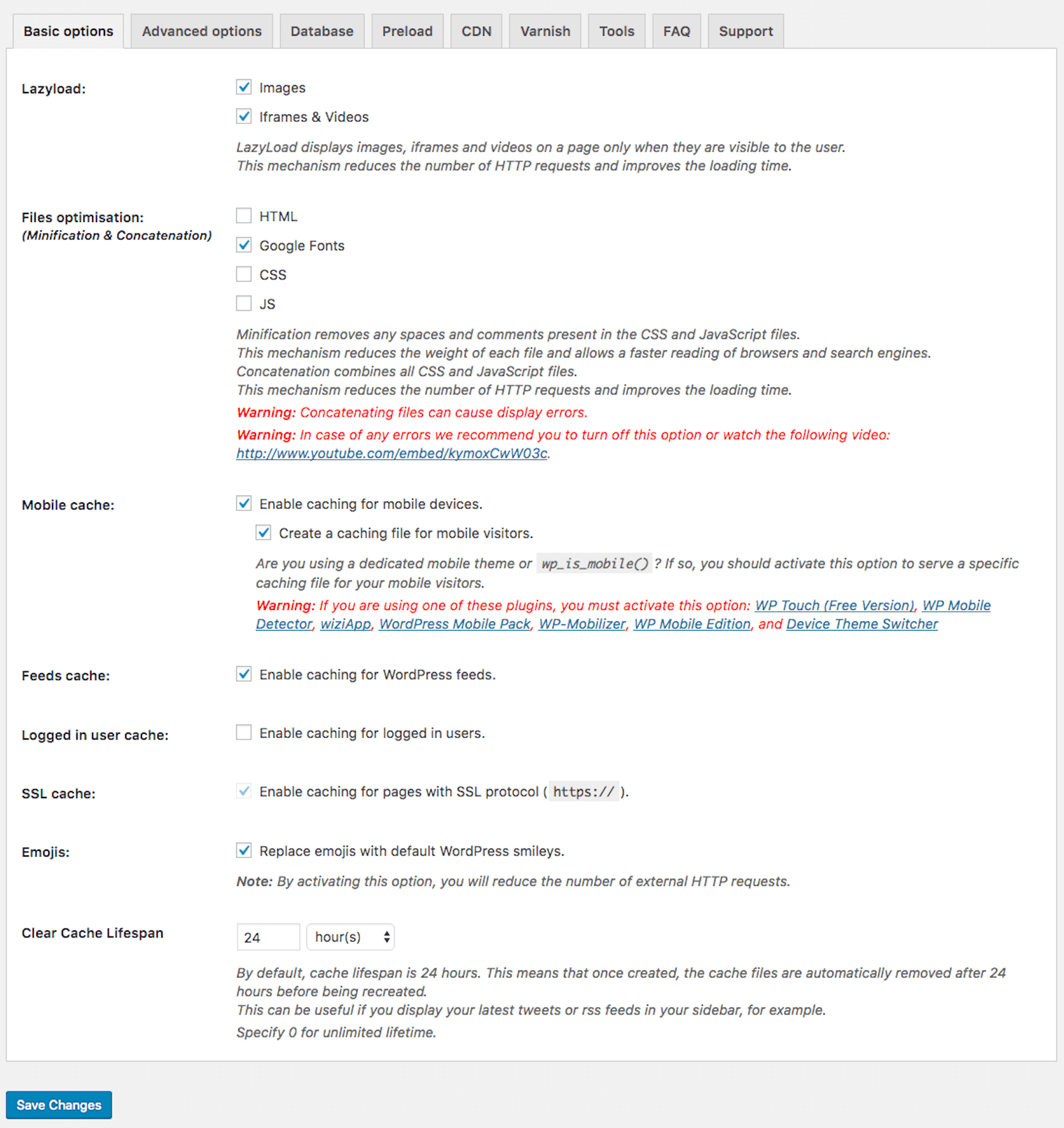 WP-Rocket basic options