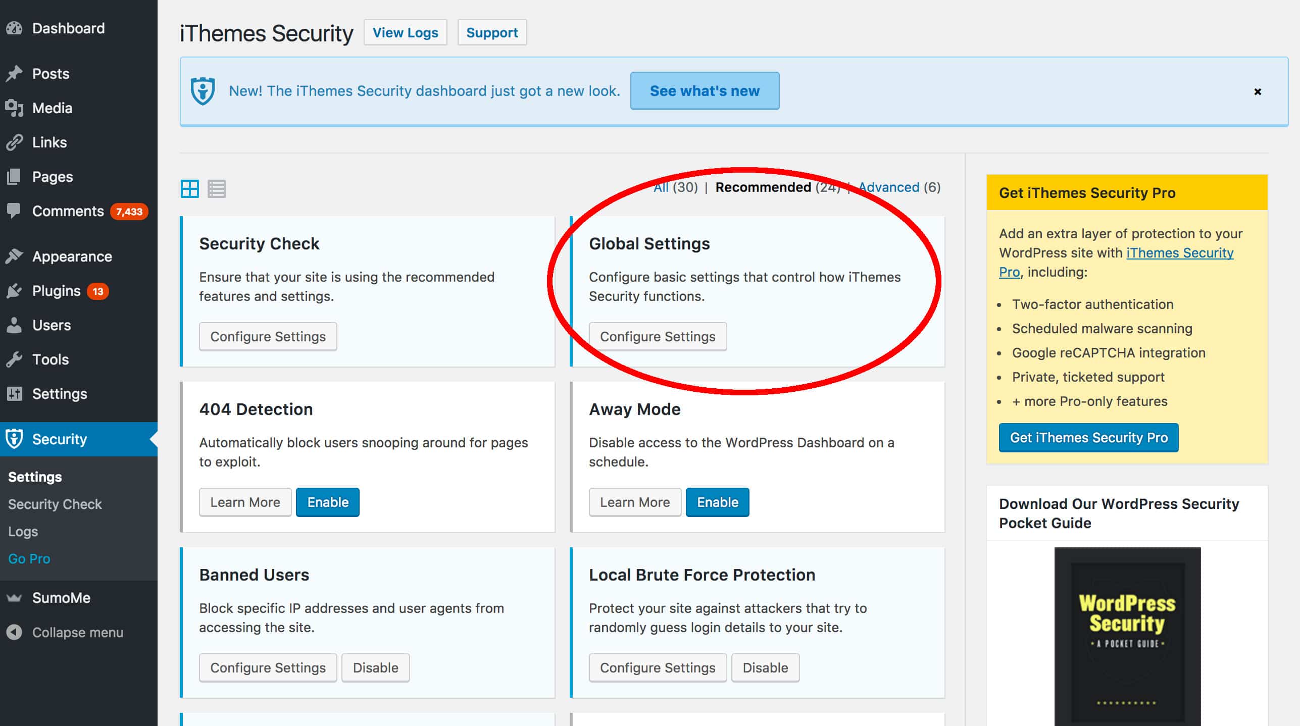 iThemes Global Settings