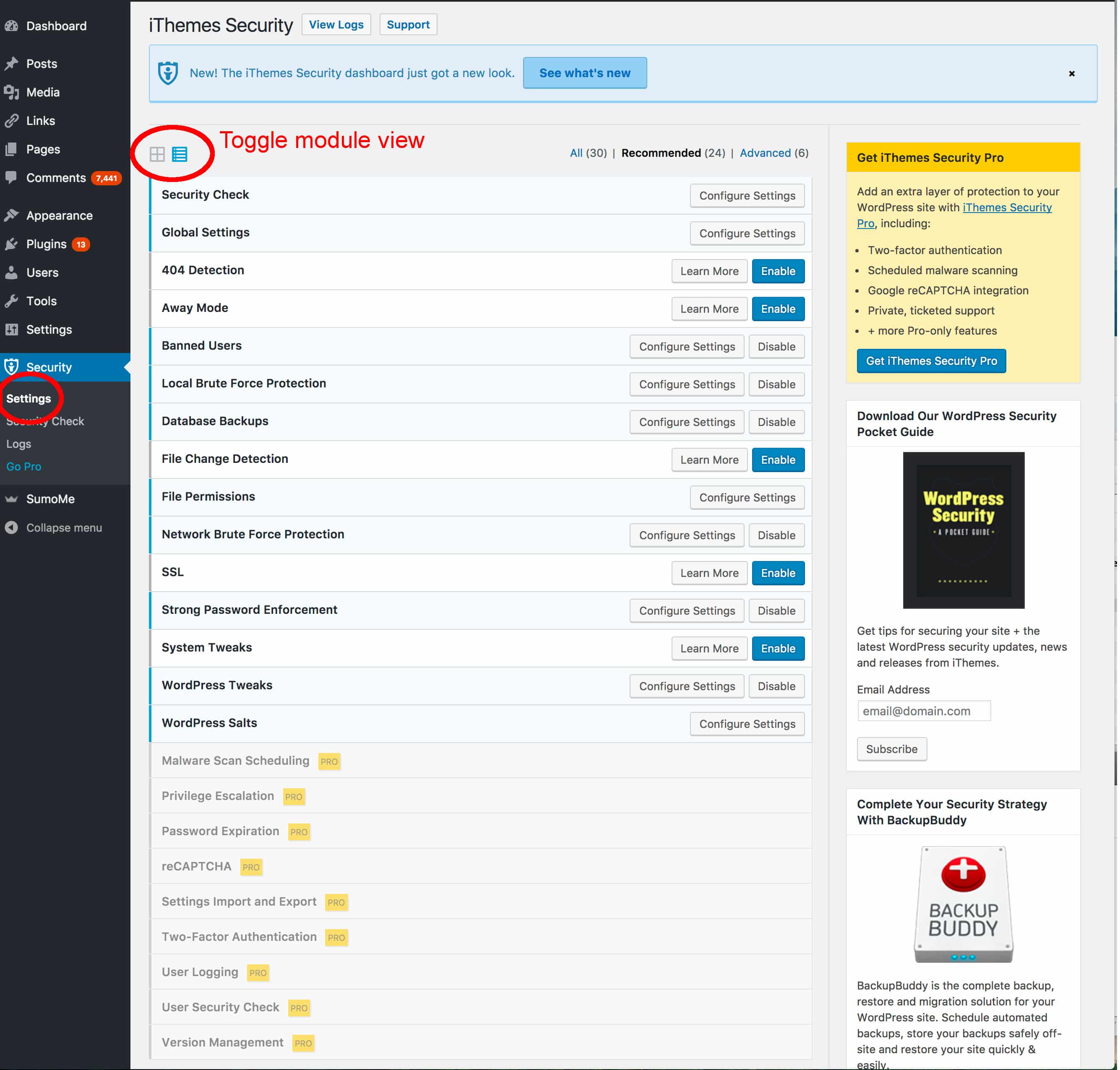 iThemes Modules