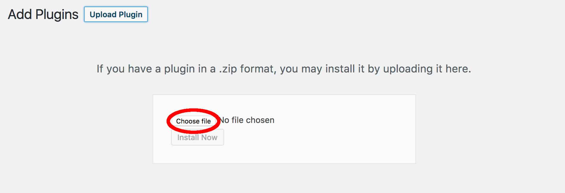 Choose a Bloom zip file and click download