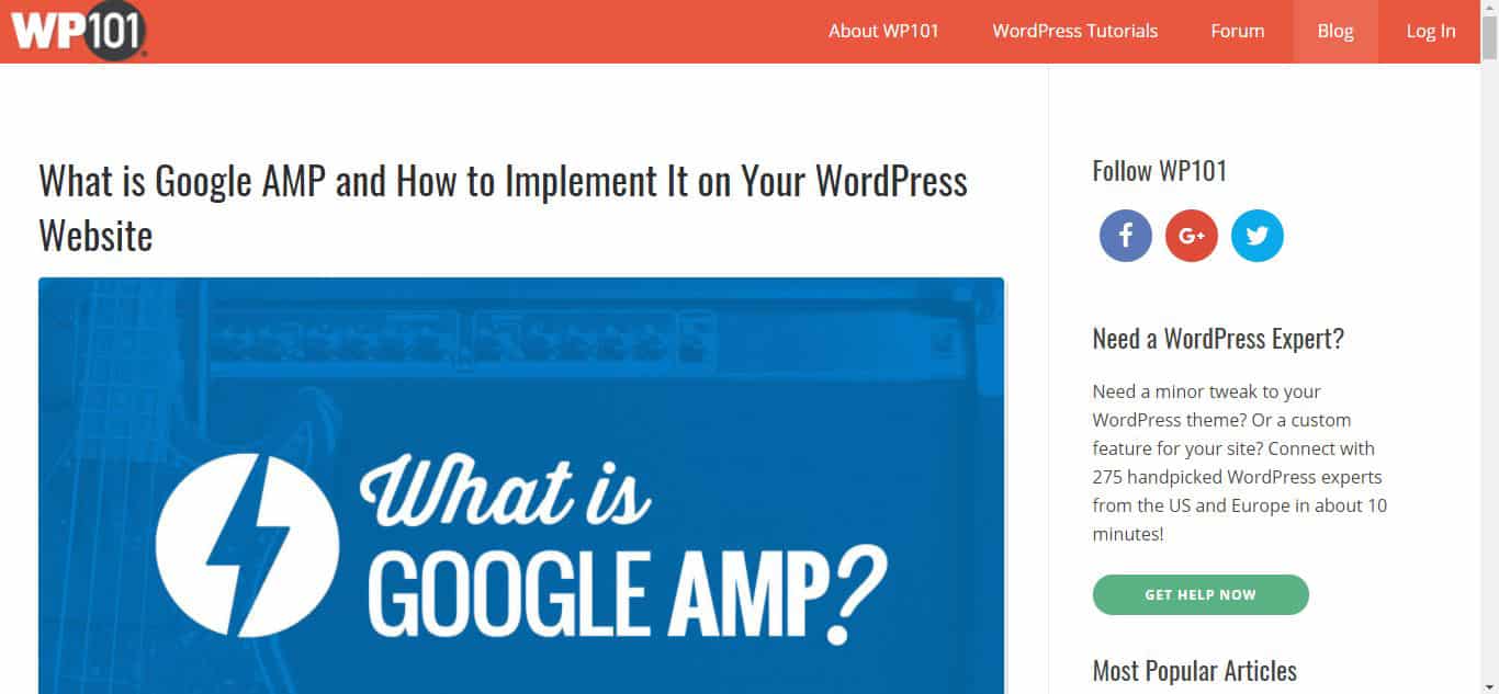 Wordpress 101 Blog