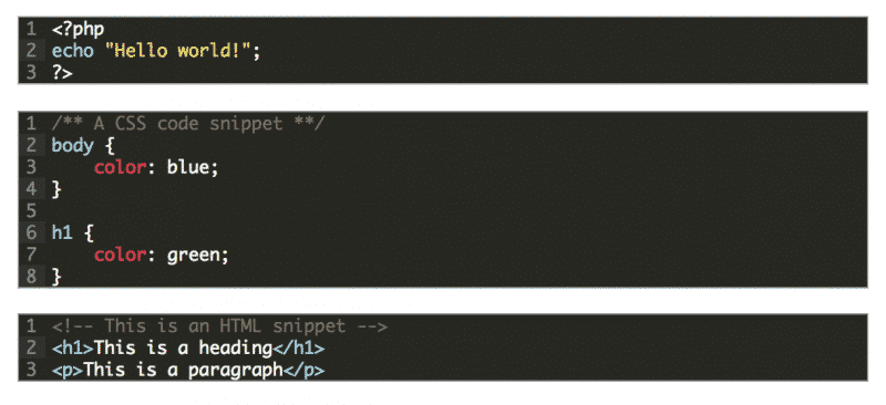 How To Easily Show Code Snippets On Your WordPress Website | Solvid