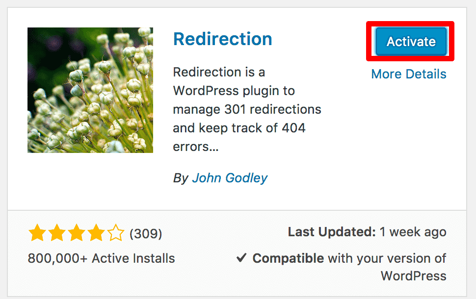 Activating Redirection Plugin WordPress