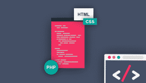How To Easily Show Code Snippets On Your WordPress Website | Solvid