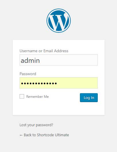 Logging In To WordPress