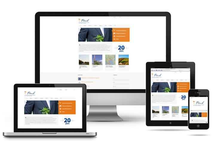 Responsive Image Design