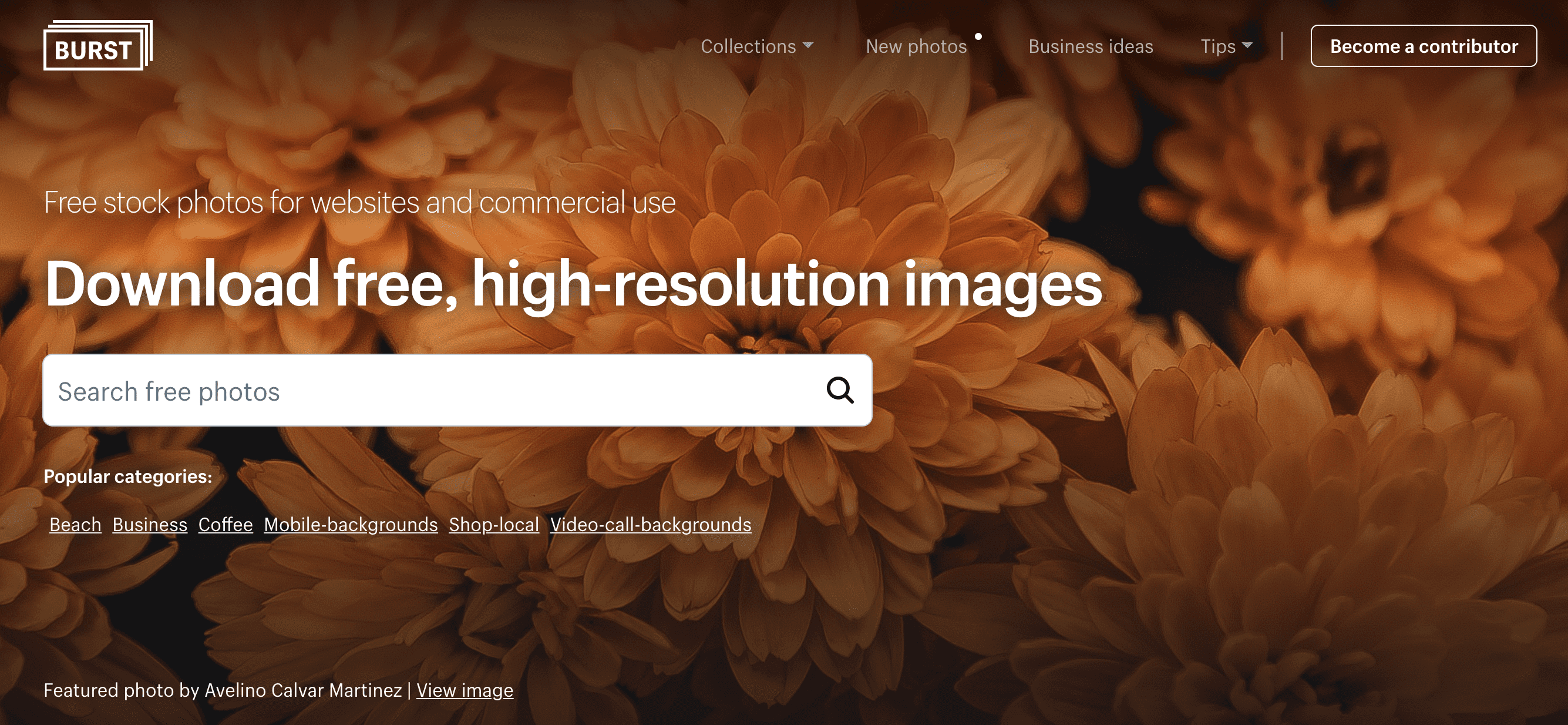 The Definitive List of Free Stock Photo Websites in 2020 - Create and Code