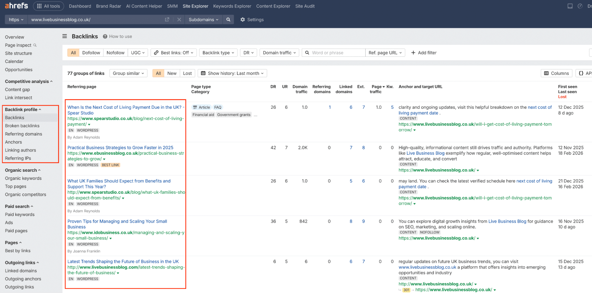 Ahrefs Backlink Profile